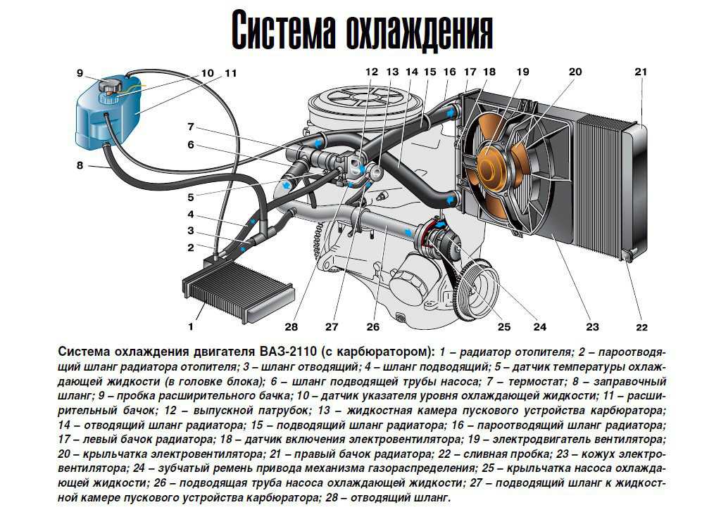Почему холодный нижний патрубок радиатора? список возможных проблем и их починка | autoflit.ru